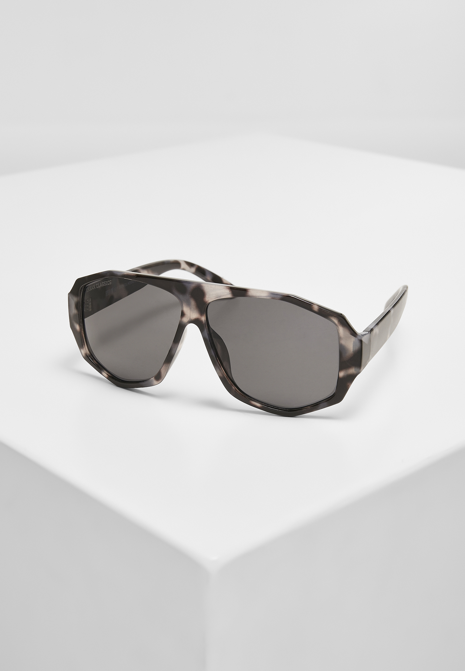 Sonnenbrillen 101 Sunglasses UC in Farbe grey leo/black