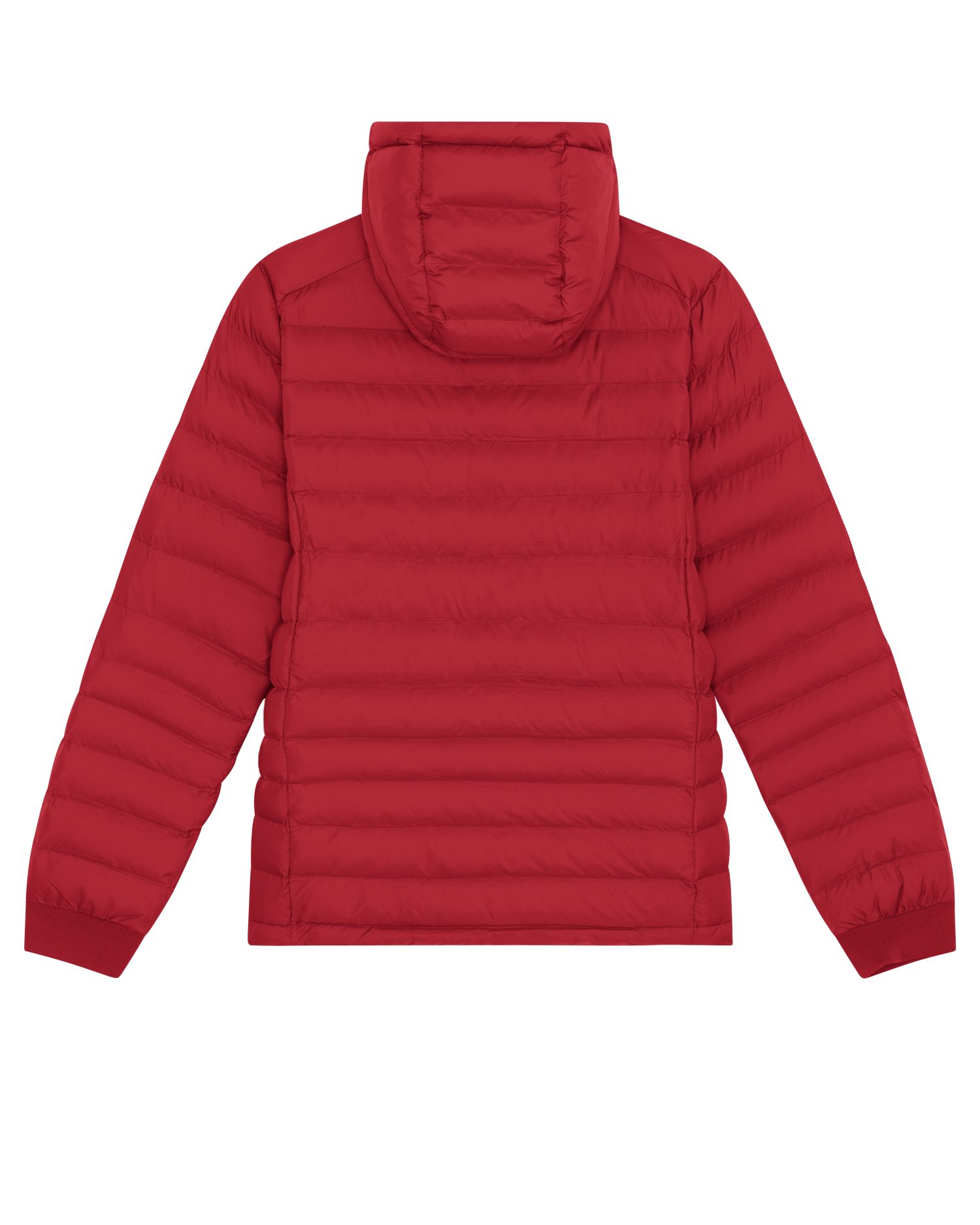 Wattierte Jacke Stella Voyager in Farbe Red