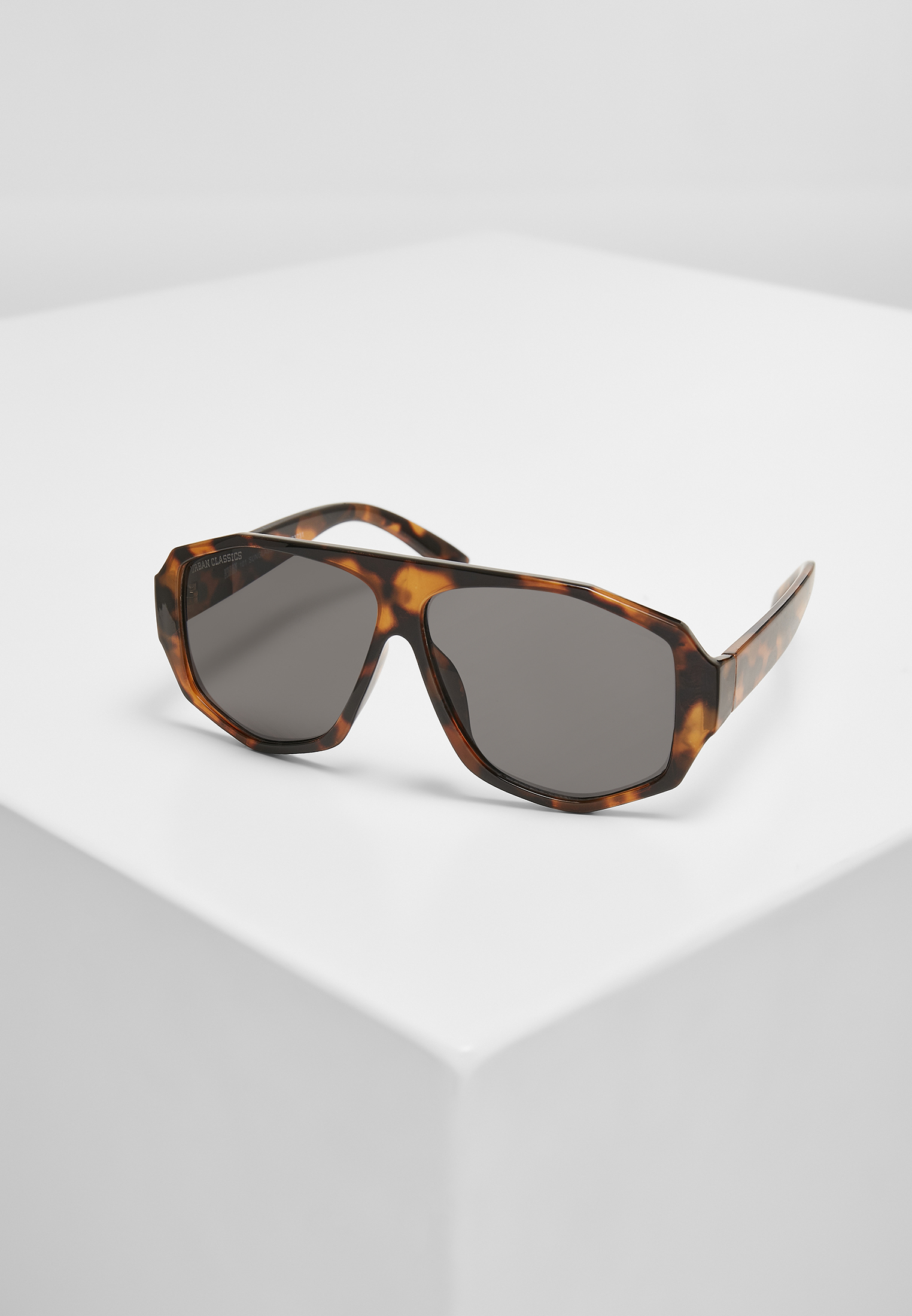 Sonnenbrillen 101 Sunglasses UC in Farbe brown leo/black